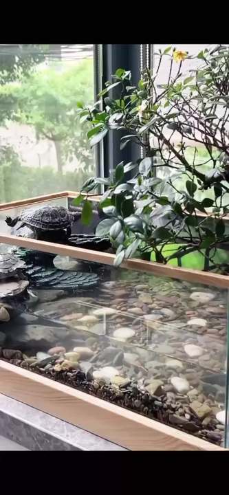 Mipukbay Reptiles Basking Platform Climbing Ramp Habitat, Turtle ...