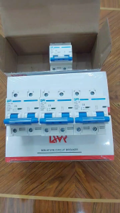 CB AC Aptomat cầu dao đóng ngắt điện 2P 100A 220V LWR bảo vệ quá tải ngắn mạch