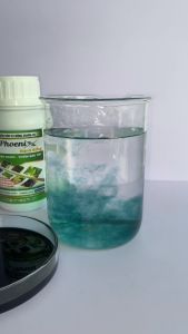 THUỐC TRỪ BỆNH CHO CÂY TRỒNG - NANO ĐỒNG (DR PHOENIX) CHAI 250ML