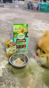 120g Jerhigh Dog Wet Food Dogs Food Snack Pouch All Stages Adult Puppy DR Pet Supplies