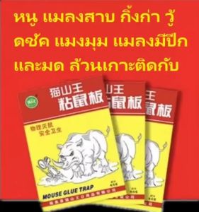 MSW รูปแบบหนาขึ้นอัพเกรด กาวดักหนู กาวนำเข้าจากเยอรมัน 30 ปี กาวดักหนู แน่นๆ กระดาษหนาขึ้นใหญ่ขึ้น เหนียวสุดๆ ไร้สารพิษ