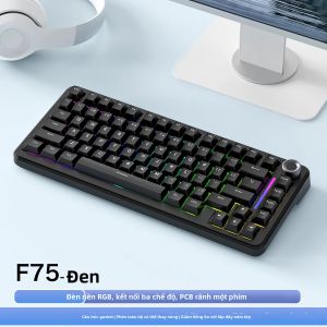 FreeWolf | Bàn Phím Chơi Game Không Dây F75 FREEWOLF RGB Với Công Tắc Cơ Học Hot Swap Cấu Trúc Gasket Giảm Tiếng Ồn 5 Lớp Dành Cho Máy Tính Để Bàn Laptop Và Máy Tính Bảng