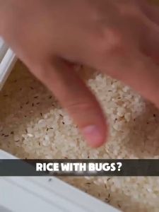 Rice Storage Box Clear Grain Container Household Cereal Rice Bucket Insect and Moisture Proof Sealed Kitchen Organizer