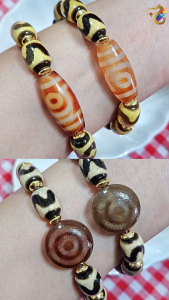 Premium Grade Natural Two Eyes Tiger Tooth Dzi Agate Bracelet (Button / Barrel)
