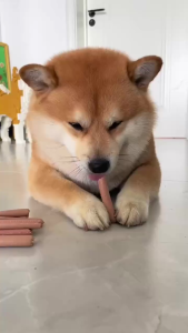 【150/120/100/50/30/PCS】Dog Treats Pet Dog Sausage Dog Food Pet Sausage Treats Pet Dog Snack