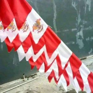 Bendera umbul umbul warna warni zigzag(20pcs) umbul umbul 17 agustus murah bendera umbul umbul