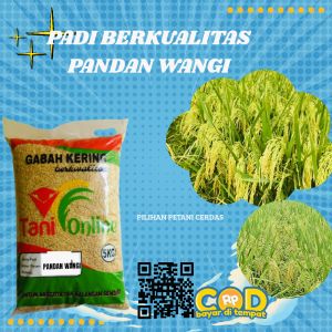 BENIH PADI UNGGUL PANDAN WANGI 100%ORIGINAL KEMASAN 5KG