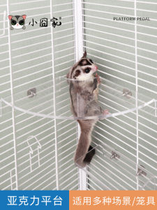 Sugar Glider Jumping Platform Toy Cage Interior Supplies Acrylic Platform Flower Branch Hamster Squirrel Pedal Ladder Springboard Landscaping