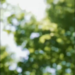 Xiaomi เครื่องปั่นน้ำผล แก้วปั่นผลไม้ Wireless juicer blender Juicer Cup เครื่องปั่นน้ำผลไม้ไร้สาย