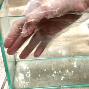 PEMBERSIH PENGHILANG KERAK AIR JAMUR KACA WATERSPOT AQUARIUM AKUARIUM KERAN KRAN STAINLIS STAINLESS JENDELA CERMIN KAMAR MANDI AMPUH STANKLIN FREE SPONS DAN SARUNG TANGAN