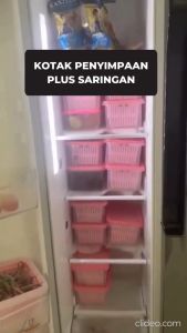 Kotak tirisan sayur / wadah saringan / saringan golden lemon / kotak tiris BESAR / kotak ikan