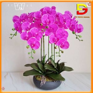 Hoa Giả Chậu Lan Hồ Điệp 5 Nhánh Cao 60CM Decor Trang Trí Phòng Khách Bàn Ăn Kệ Tủ DG-171
