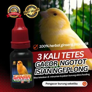 Doping Vitamin Burung Kenari Agar Berkicau Gacor Poll Maksimal Harian & Lomba