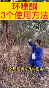 （ Fast removal ） Hymexazone herbicide 5% Herbicide Granules for Killing Large Trees and Bamboo 500g