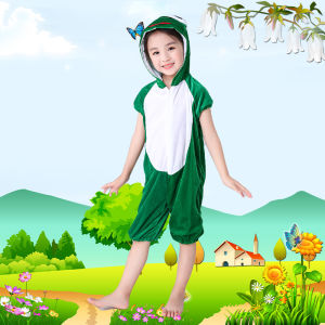 Turtle and Frog Performance Costume
