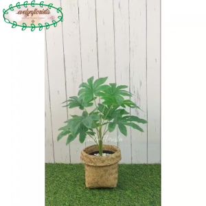 Pohon Hias Artificial Daun Aralia X9 Semilatex Pot Dasar Hitam Cover Purun Coklat Anyaman Hiasan Cafe Aesthetic