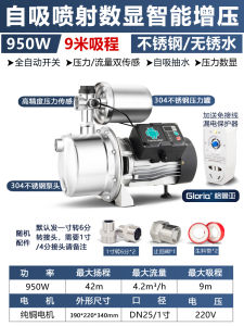 Stainless Steel 304 Self-Priming Spray Pump for Home Use High Suction Flow Booster Pump for Water Well 220V