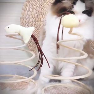 Đồ Chơi Lò Xo Cao Cấp Kèm Chuột Vui Nhộn dành cho Mèo