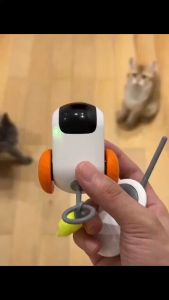 Cat Toy Smart Remote Control Electric Gravity Sports Car Cat Self Happiness And Boredom Relief Toy