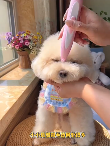 Pet Foot Hair Trimmer Electric Pet Shaver Pet Foot Hair Push Dog Cat Grooming Razor USB Rechargeable Electric Push