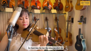 Violin Acutis AHV450 4/4 Cao Cấp - Gỗ Thông Kèm Hộp Nhựa Vĩ & Gối - Bảo Hành 12 Tháng