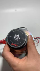 Loa treble 10cm SOWAY - tù kép 60+55mm xương vàng 7 màu - giá 1 cái