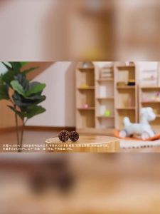 Walch | Home Cleaning Disinfectant Liquid