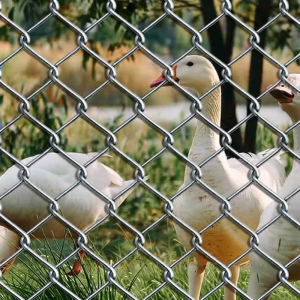 XINDINGHAO | Rustproof Galvanized Wire Mesh Fence