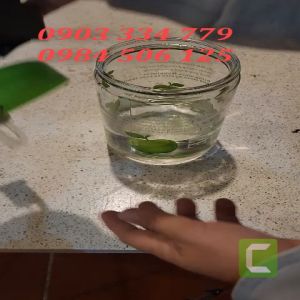 Combo Mạch Chế Bình Rót Rươu Cảm Ứng kèm chú tiểu làm sẵn kèm cáp sạc [không kèm bình] miễn phí ship