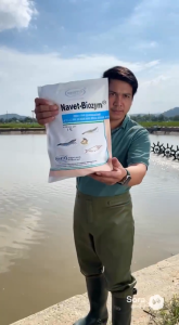 Navet-Biozym (Gói 1kg) _ Men vi sinh và enzyme chất lượng cao điều trị và cải thiện môi trường nuôi tôm và cá.