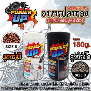 PowerUp Fishfood อาหารปลาทอง ขนาด 180 กรัม สีขาวเร่งสี / สีดำเร่งโต เร่งสีโทนดำ ขับลม ไม่ทำไห้น้ำขุ่น ใช้แทนอาหารสดได้เลย