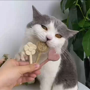 Paws Lollipop Snek Kucing Paws Lollipop Freeze Dried Pet Snacks Cat Snack 1pcs Freeze Dried Raw Meat