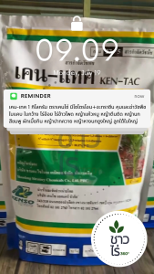 [ยกลังสุดคุ้ม] เคน-เทค 1 กิโลกรัม x 12 ถุง ตราเคนโซ่ มีโซไตรโอน+อะทราซีน คุมและฆ่าวัชพืชใบแคบ ใบกว้าง ไร่อ้อย ไร่ข้าวโพด  หญ้าแห้วหมู หญ้าตีนติด หญ้านกสีชมพู ผักเบี้ยกิน หญ้าปากควาย หญ้าหางนกยูงใหญ่ ลูกใต้ใบใหญ่