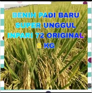 Benih padi terbaru super genjah BERBOBOT INPARI 72 JUMBO ORIGINAL (5Kg)