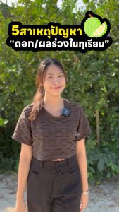 ไคโตซานพืช วัคซีนพริก วัคซีนพืช 3 แถม 1 ฟรีฟูกรีน โตไว เพิ่มความเขียวให้พืช โรคพืช แมลงศัตรูพืช ราน้ำค้าง มะเขือ มะนาว โรคพริก โรคใบเหลืองร่วง ใบแห้ง ใบหยิก กุ้งแห้ง แคงเกอร์ ผลเน่า รากเน่า หนอน