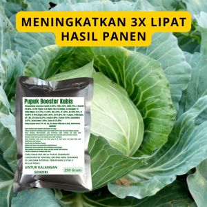 Pupuk Booster Kubis / Obat Booster Kubis / Pupuk Booster Kubis / Pupuk Kubis