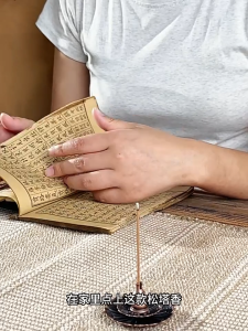 🇲🇾Spades A🇲🇾天然正宗松塔香招财线香熏香送塔香正品旗舰店家用净宅真正的香薰