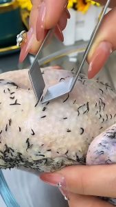 Nhíp Gắp Xương Cá Nhặt Lông Yến Lột Tỏi và Nhổ Lông Đa Năng