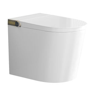 DONGPENG | Automatic Intelligent Toilet for Small Spaces