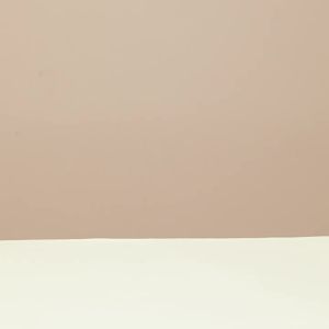 Fortune Home Baby Milk Powder Food Storage Container Airtight Container Box with Scoop and Scraper