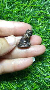 M23 เสือหลวงพ่อปาน วัดมงคลโคธาวาส (วัดบางเหี้ย) อ.คลองด่าน จ.สมุทรปราการ ปี 2527 กล่องเดิม