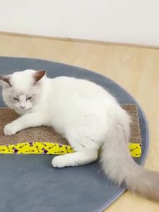 Petshome Cat Scratch Boards With Multiple Sizes And Types High-quality Cat Scratch Boards For Cat Toys