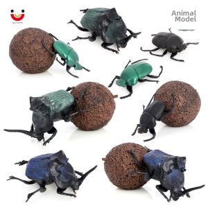Educational Beetle Dung Beetle Toy