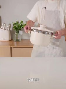 Supor | Nồi Áp Suất Chống Nổ Inox Dùng Trong Gia Đình