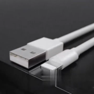 Fast Charge PD Cable 1M 2M Charging Cable for Phone 6S 6 7 8 PLUS X XR XS 11 PRO Max pro 6S 5C