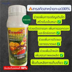 สารสกัดสาหร่ายทะเล อาหารเสริมพืช ขนาด 1 ลิตร ใช้ได้ 10-15 ไร่ ช่วยเพิ่มการเจริญเติบโต ใบเขียวหนา ช่วยเปิดตาดอก เพิ่มการติดผล ขยายขนาดผล เพิ่มน้ำหนัก ฟื้นฟูต้นหลังการเก็บเกี่ยว