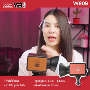 ไฟ LED กำลังสูง ZSYB W80B (ประกันศูนย์)