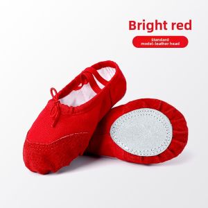 Dance Shoes Soft Bottom Ballet Dance Practice Shoes for Girls And Boys in Pink And Blue Color Options Canvas Upgraded Version