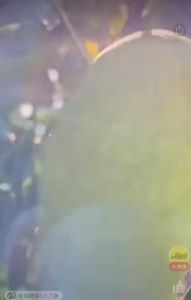 【言果果】芒果干 新鲜水果厚切酸甜果干 Dried Mango Slices Dried Fruit 52g