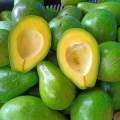 Buah Alpukat - Alpukat mentega - Alpukat Mentega Super Murah. 